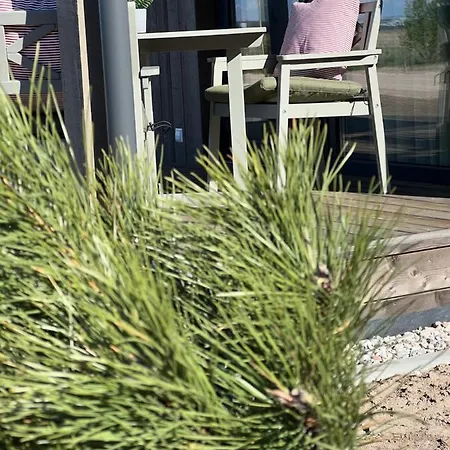 Apartamentai “kursiu Snauda” Palanga