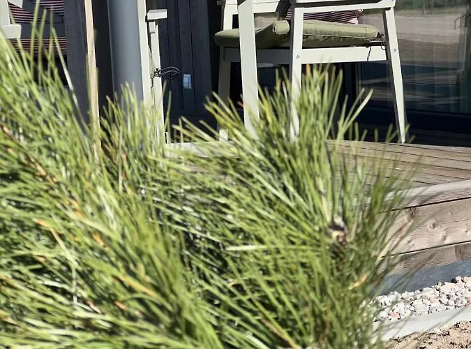 Apartamentai “kursiu Snauda” Palanga