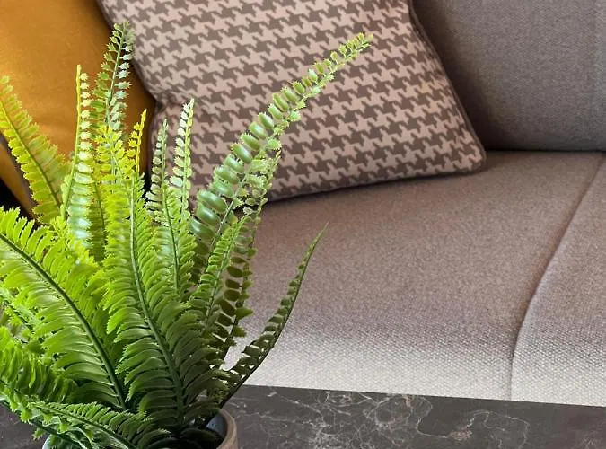 Apartamentai “kursiu Snauda”